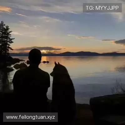 赖武青